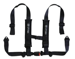 2-inch 4-point Harness with Auto Buckle