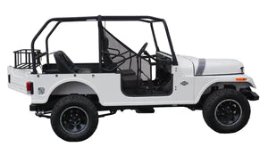 ROXOR Roll Cage