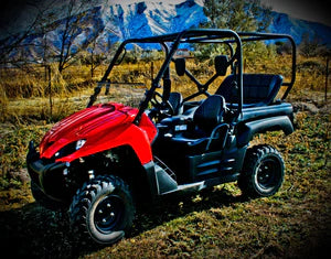 Kawasaki Teryx Backseat and Roll Cage Kit
