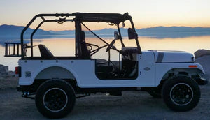 ROXOR Roll Cage