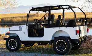 ROXOR Roll Cage